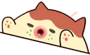 zuckerbongo