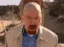 goosewalterwhite