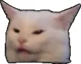 Catmeme2 Discord Emoji