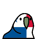 panamaParrot Discord Emoji