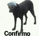 Confirmo