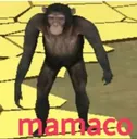 Macaco1