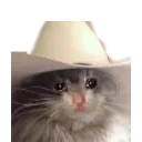 Sadcowboy sadcowboy Discord Emoji