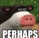 perhaps perhaps