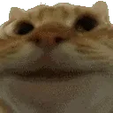 yes_png