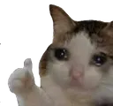 unn