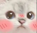 CR_a_catblush CR_a_catblush