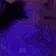 catRAVE