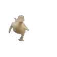 duckArrive