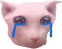 cryingbingus