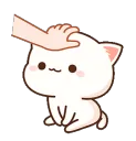 nya_pats