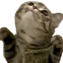 wola_derp wola_derp