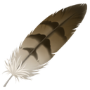 :feather1: