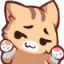 shrugcat shrugcat