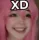 xd