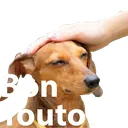 Sanstitre4