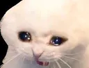 no