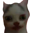 anguish anguish
