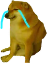 crycheems Discord Emoji