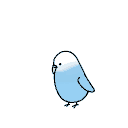 BudgieGif Discord emoji