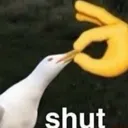 Shut
