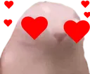 binguslove