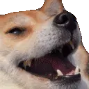 dogkek