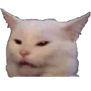 KatzeWhat KatzeWhat