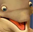 dolphin