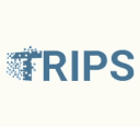 trips_shine Discord emoji