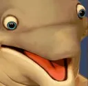 dolphin