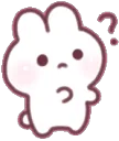 GIFUsagiBunnyConfusedWhat2