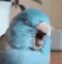 aaabird