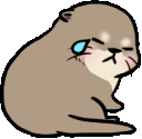 GifOtterSadDisappointed Discord Emoji