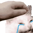 CattoPatto