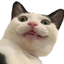 cdWtf Discord emoji