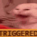 cdShake Discord emoji