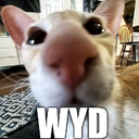 cdWyd Discord emoji
