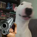Waltergun