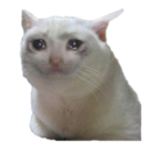 cdVerysad Discord emoji