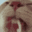 cdLicklick Discord emoji
