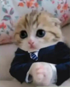 mafiosochikito_fn Discord emoji