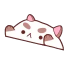 pupbongo