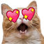cdHearteyes Discord emoji