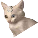 loading_cat_meme_2 Discord emoji