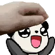 sploophypat