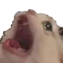 ahh