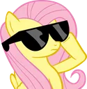 FluttershySWAG