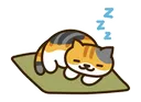 nekoatsume_sleep