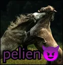 pelien